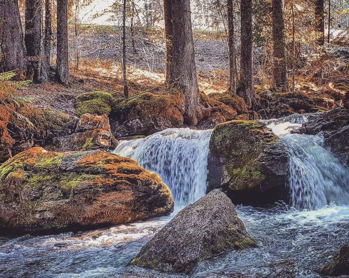Micro-Lodge, Le Petit Nid D'Amour Montriond Exteriör bild