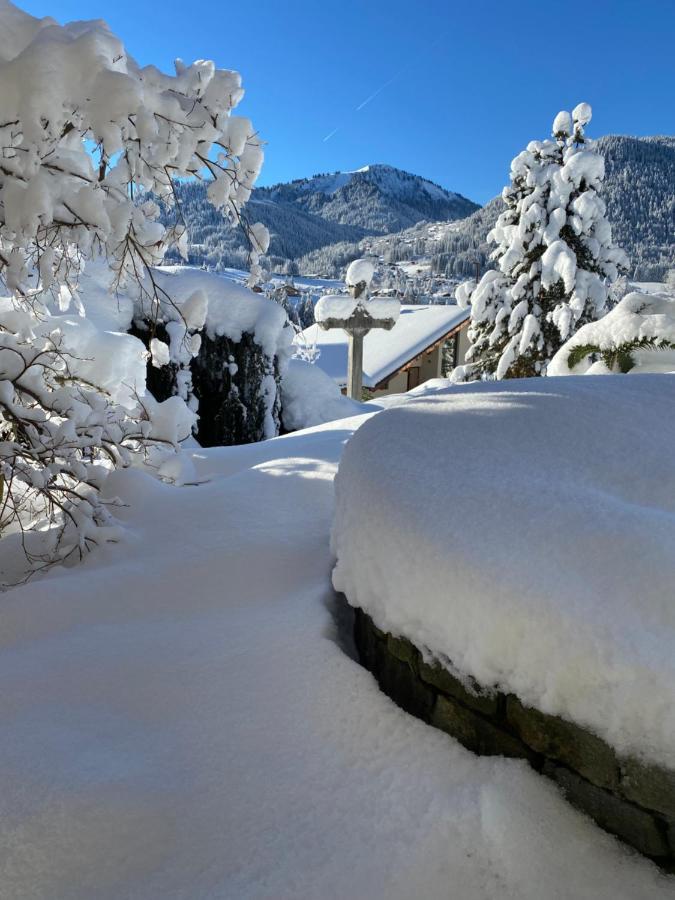 Micro-Lodge, Le Petit Nid D'Amour Montriond Exteriör bild
