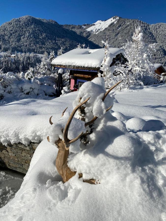 Micro-Lodge, Le Petit Nid D'Amour Montriond Exteriör bild
