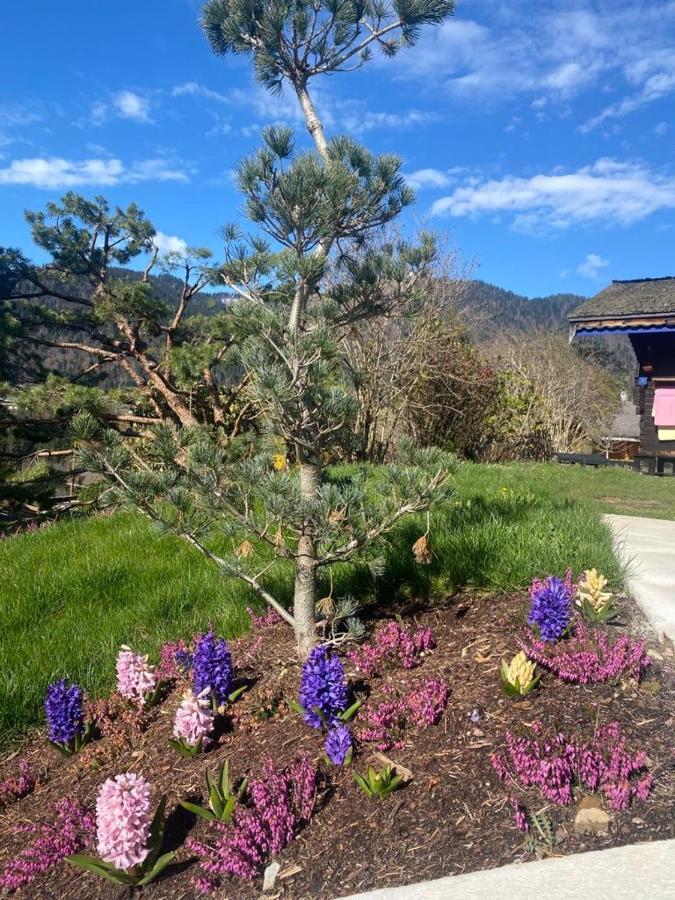Micro-Lodge, Le Petit Nid D'Amour Montriond Exteriör bild
