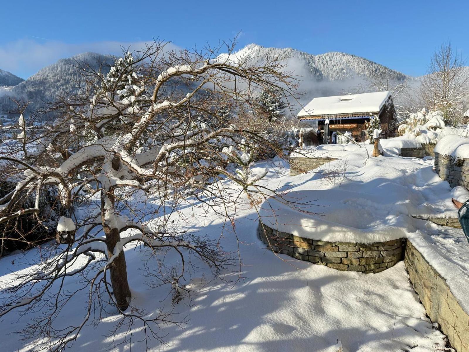 Micro-Lodge, Le Petit Nid D'Amour Montriond Exteriör bild