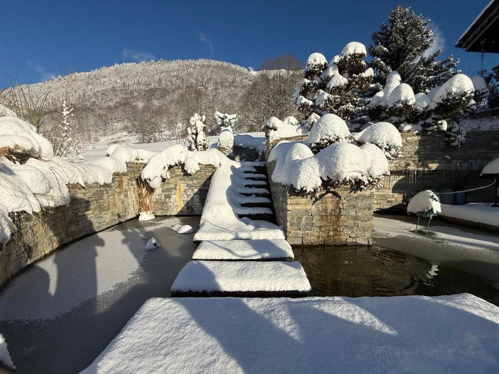 Micro-Lodge, Le Petit Nid D'Amour Montriond Exteriör bild