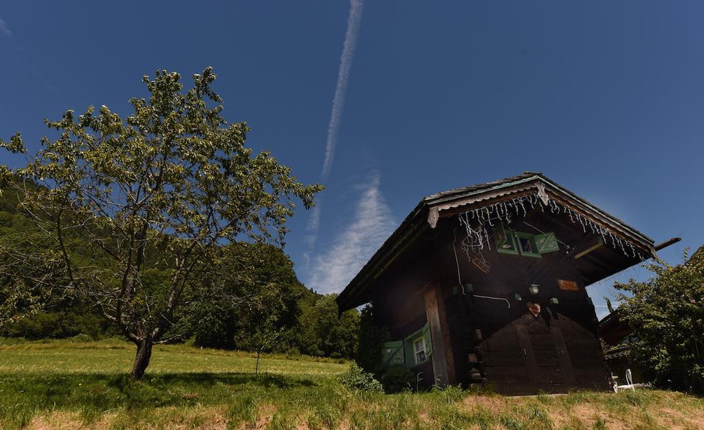 Micro-Lodge, Le Petit Nid D'Amour Montriond Exteriör bild