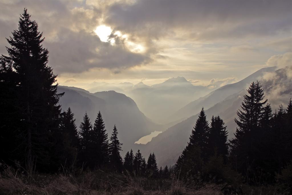 Micro-Lodge, Le Petit Nid D'Amour Montriond Rum bild