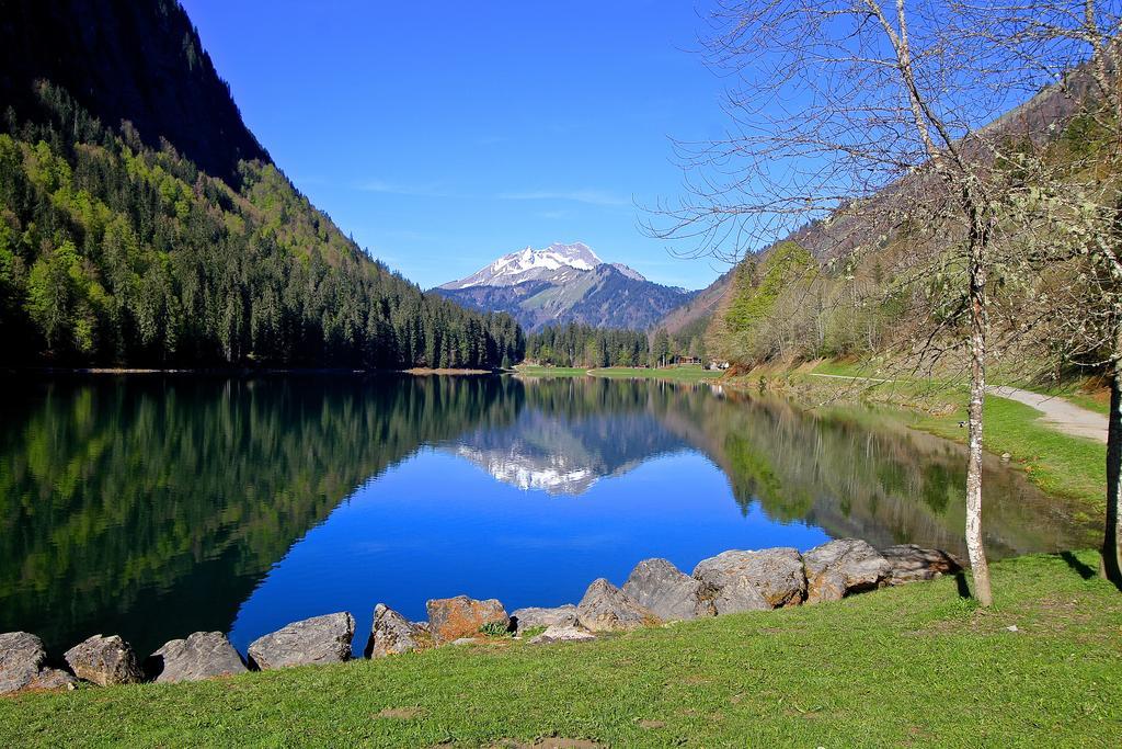 Micro-Lodge, Le Petit Nid D'Amour Montriond Exteriör bild